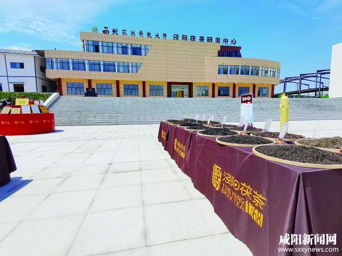 2021年第二季度重点项目观摩活动全景报道(图8) 07