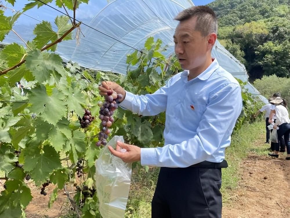 宝鸡陈仓：开局奔跑谋新篇 起步决战启新程(图2)