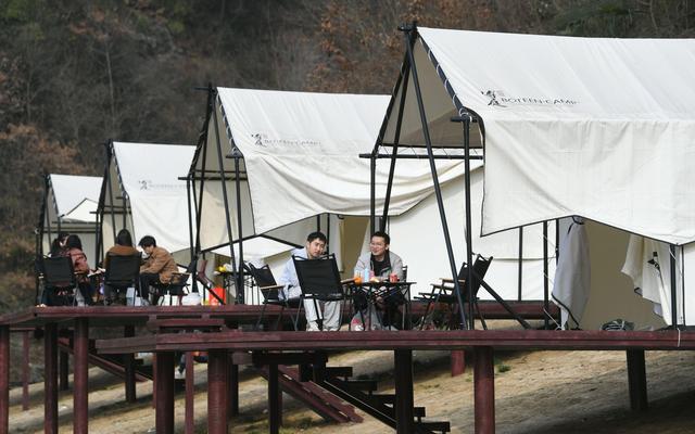 看振兴 陕西行丨陕西“小江南”三柳村:朱鹮古树咖啡香(图2) 不少游人在营地里度周末。新京报记者 王颖 摄