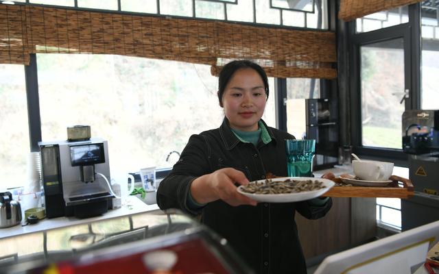 看振兴 陕西行丨陕西“小江南”三柳村:朱鹮古树咖啡香(图3) 三柳村书咖的工作人员。新京报记者 王颖 摄