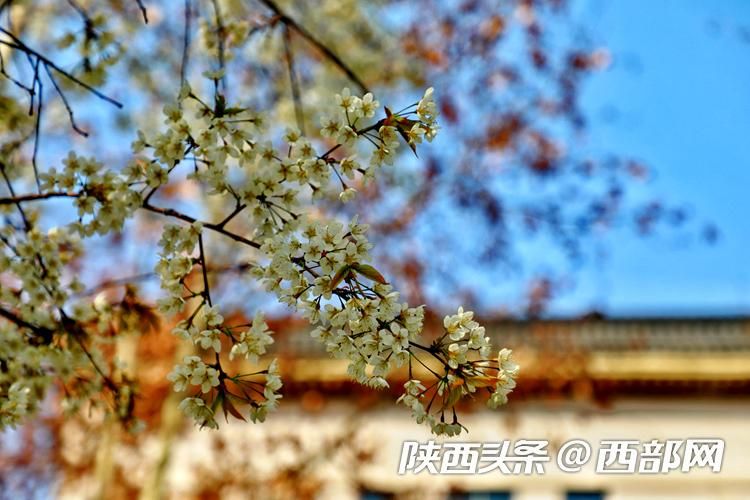 正在上传...