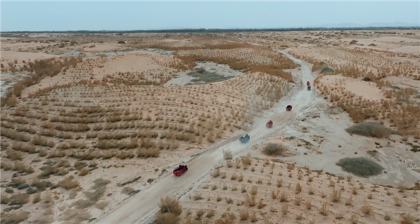 女子沙漠种树16年让县城免于消失 11年前美国预言翻车