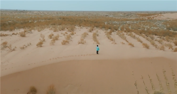 女子沙漠种树16年让县城免于消失 11年前美国预言翻车