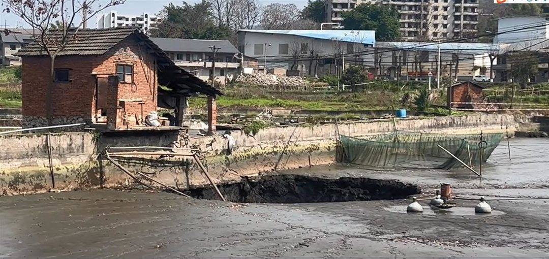 重庆一鱼塘突现神秘深坑，塘内近2万斤观赏鱼一夜消失(图1)