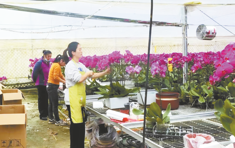 休闲农业让庄稼种出时尚感 实现了美丽环境向美丽经济的蝶变(图3)