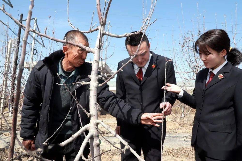 为乡村振兴“添力鼓劲”——记2022年度陕西省学雷锋活动示范点延长县人民检察院 (图1)