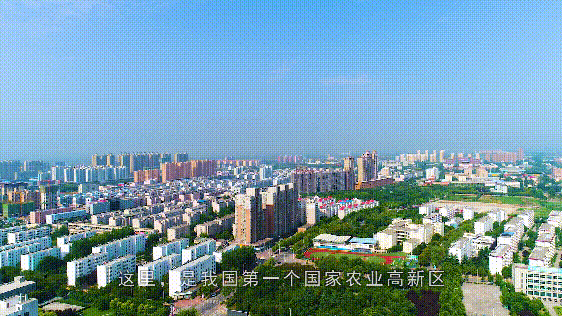 杨凌示范区出台50项措施深入开展“三个年”活动(图1) 图片
