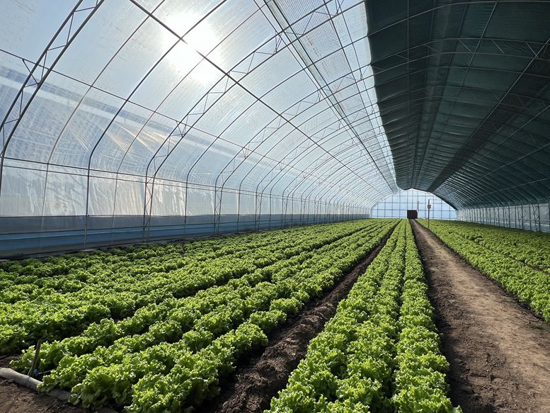 制定科学规划,筑牢生态屏障,推动生产、生活、生态融合共生,成为农业发展的新风向(图8) 7.jpg