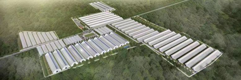 制定科学规划,筑牢生态屏障,推动生产、生活、生态融合共生,成为农业发展的新风向(图9) 8.jpg