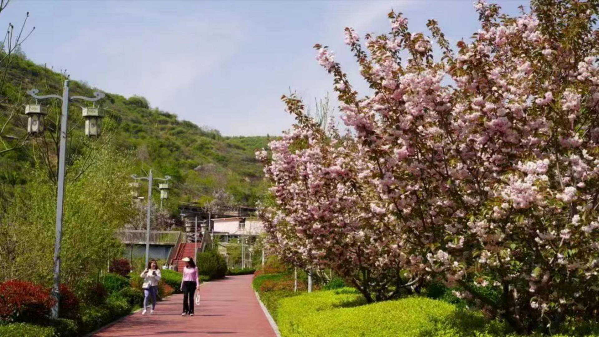 正在上传... 7214fcc19120403c78a0320ccf4a7cbf.png