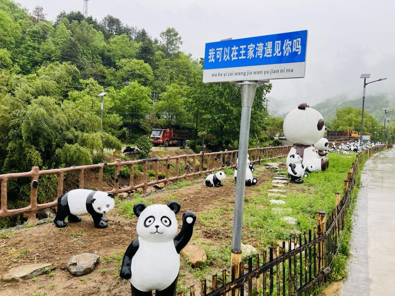 秦岭山里种植忙，陕西佛坪农产品释放新活力(图1)