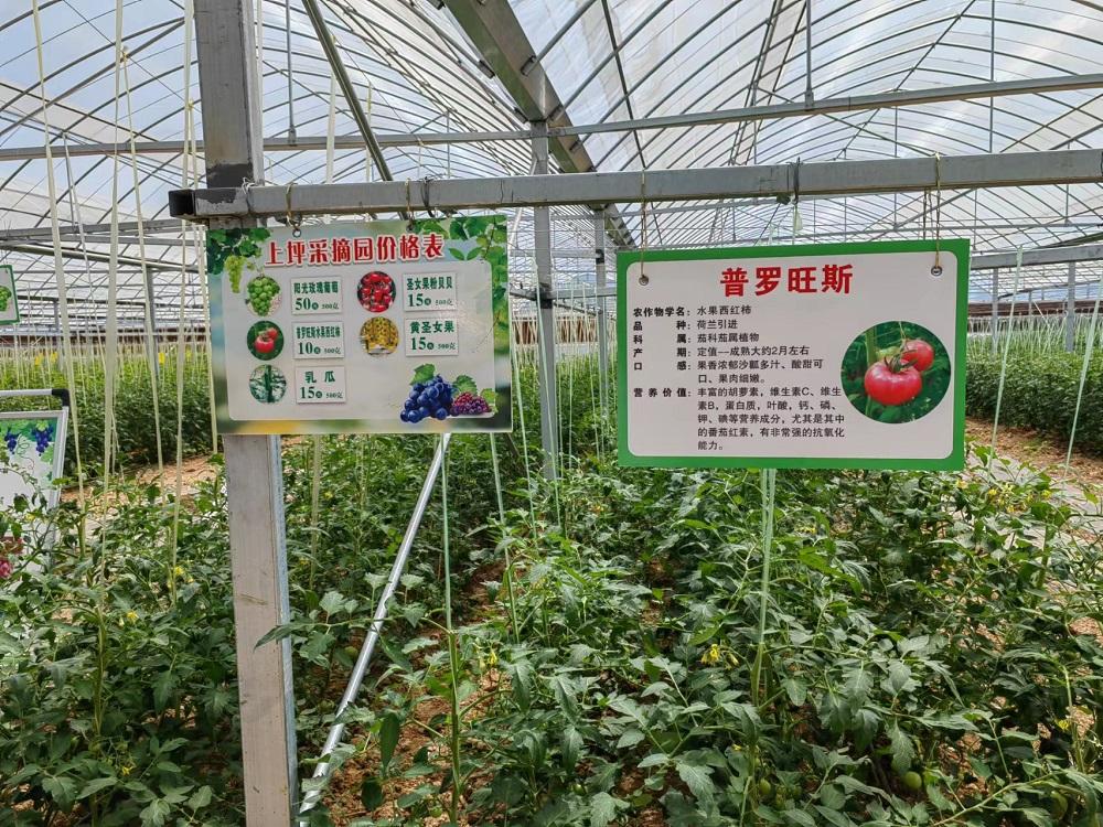 略阳县徐家坪镇：积极探索乡村振兴楷模之路(图3)