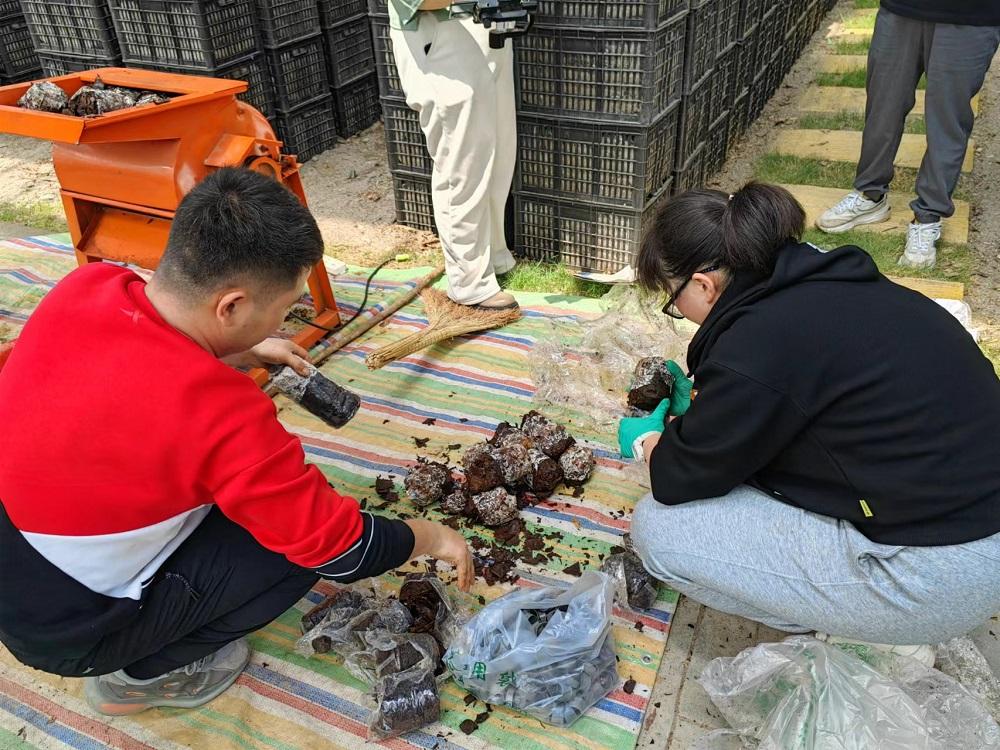 略阳县徐家坪镇：积极探索乡村振兴楷模之路(图2)