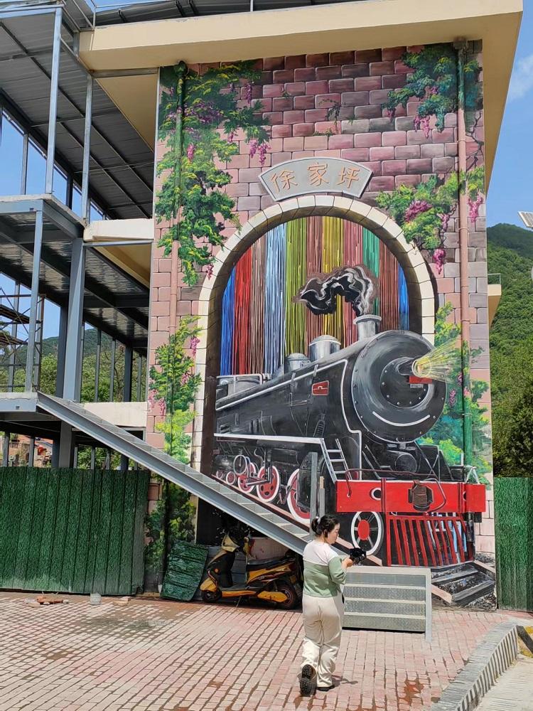 略阳县徐家坪镇：积极探索乡村振兴楷模之路(图9)