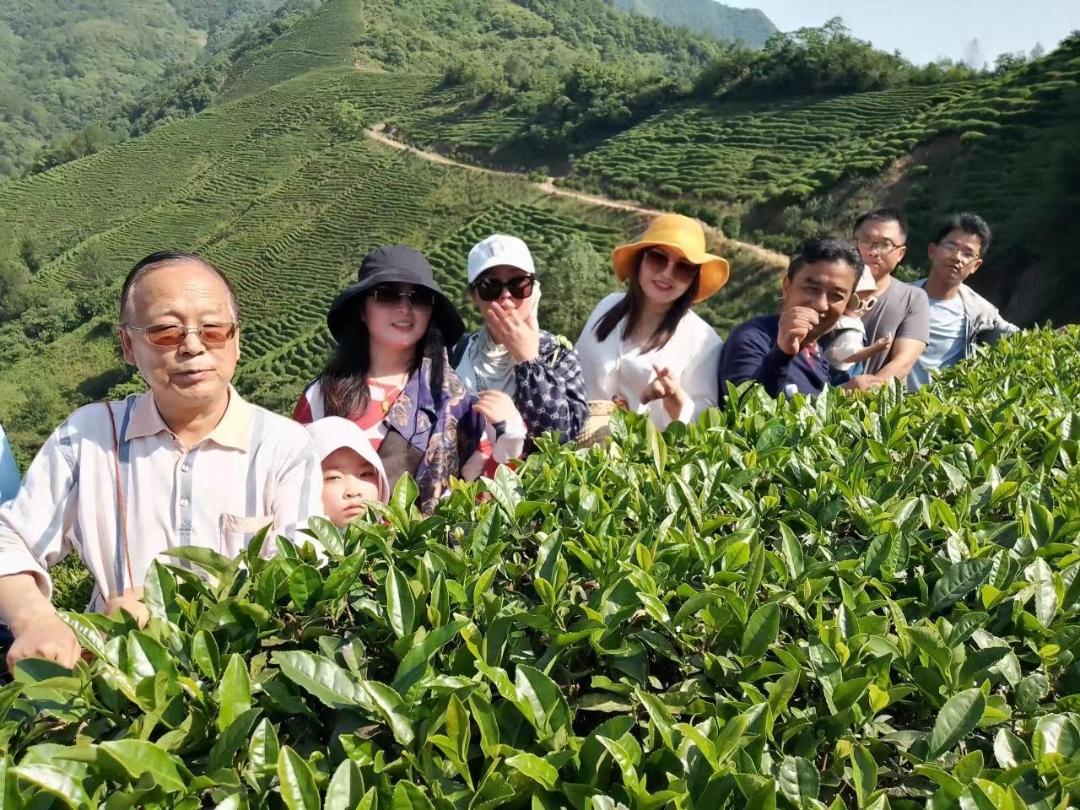 陕西婵茶文化共享茶园孵化基地项目启动(图5) 陕西婵茶文化共享茶园孵化基地项目启动(图5)