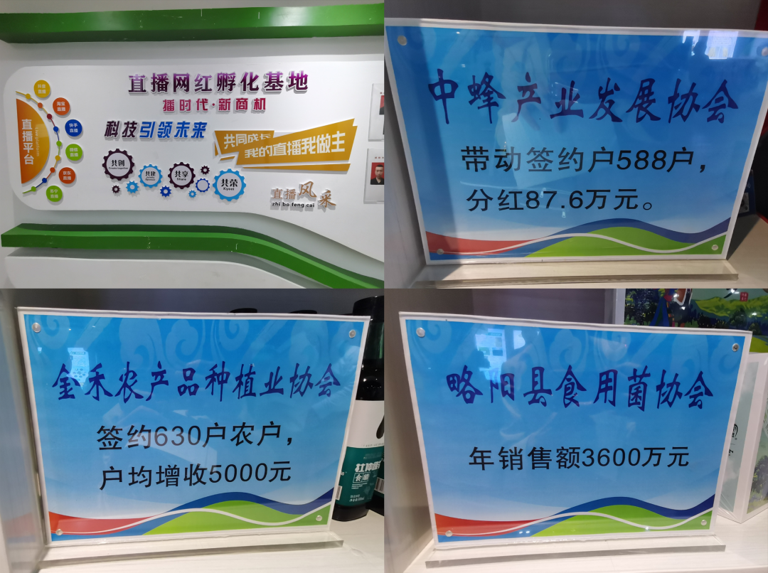 陕西社会组织“合力团”助力乡村振兴显身手(图2)