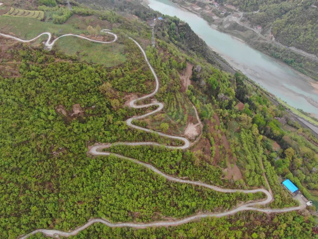 陕西社会组织“合力团”助力乡村振兴显身手(图5)