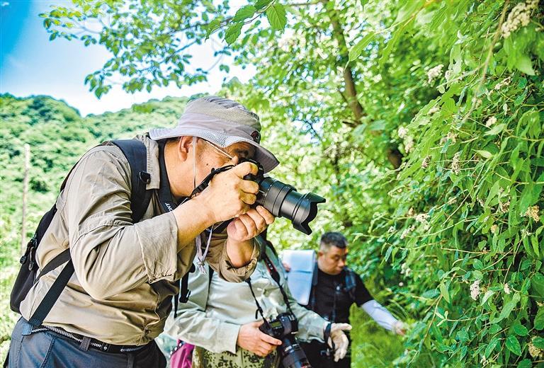 跋山涉水觅精灵 西安植物的“植口普查”都干些啥?(图1)