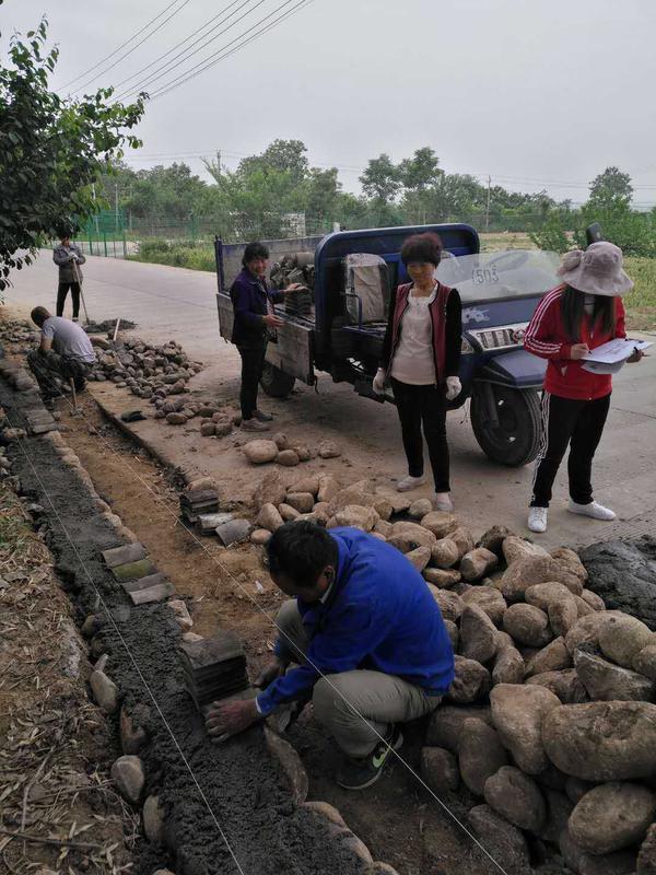 秦岭脚下小村庄“蝶变”为网红打卡地 村里来了规划师 “画”出乡村新模样(图6)