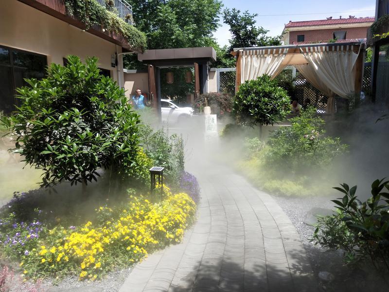 秦岭脚下小村庄“蝶变”为网红打卡地 村里来了规划师 “画”出乡村新模样(图10)