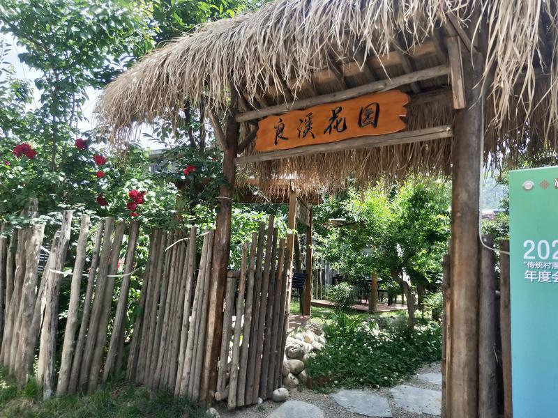 秦岭脚下小村庄“蝶变”为网红打卡地 村里来了规划师 “画”出乡村新模样(图11)