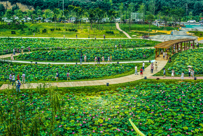 陕西推介发布24条夏季乡村休闲旅游行精品线路(图10) 图片