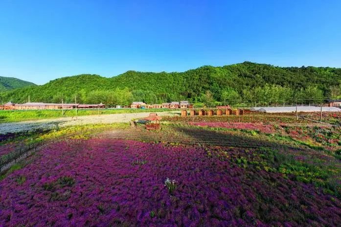 陕西推介发布24条夏季乡村休闲旅游行精品线路(图11) 图片