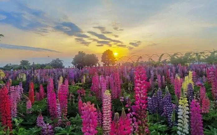 陕西推介发布24条夏季乡村休闲旅游行精品线路(图13) 图片