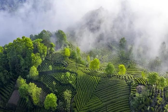 陕西推介发布24条夏季乡村休闲旅游行精品线路(图24) 图片