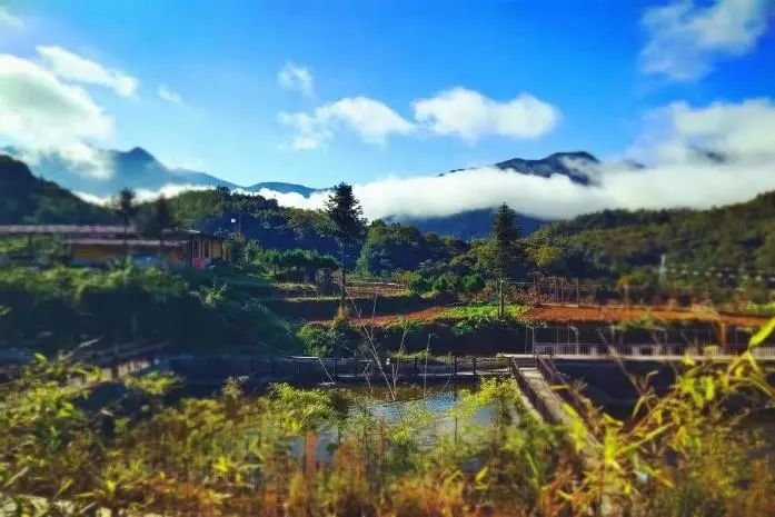 陕西推介发布24条夏季乡村休闲旅游行精品线路(图29) 图片