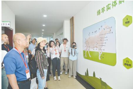 一方水土兴产业 一曲民歌传四方|榆林市榆阳区聚力打造乡村振兴新样板(图4)