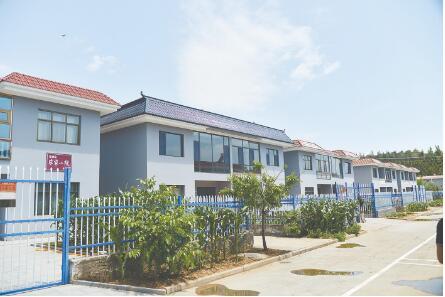 一方水土兴产业 一曲民歌传四方|榆林市榆阳区聚力打造乡村振兴新样板(图3)