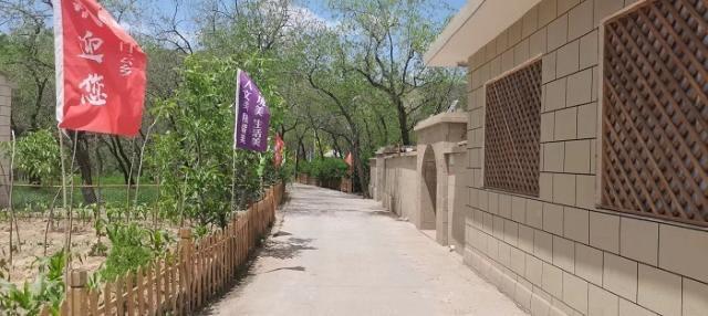 府谷白云乡村：刷新外观“颜值” 提升内在“气质”(图3)