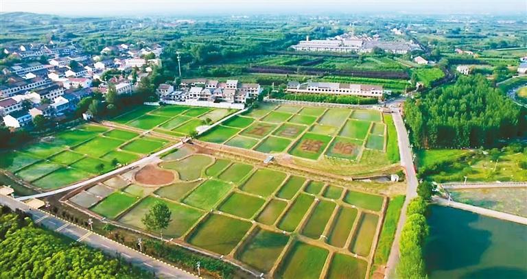 hw8aZkOP5rRxSUCp.jpg 2023西安八个方面重点工作二季度项目观摩活动圆满结束(图11)