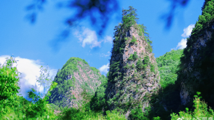410505a730148f6fcc0d717b99a8b3e5_c46ab77d5420a0dab14450bb1ed68220.png