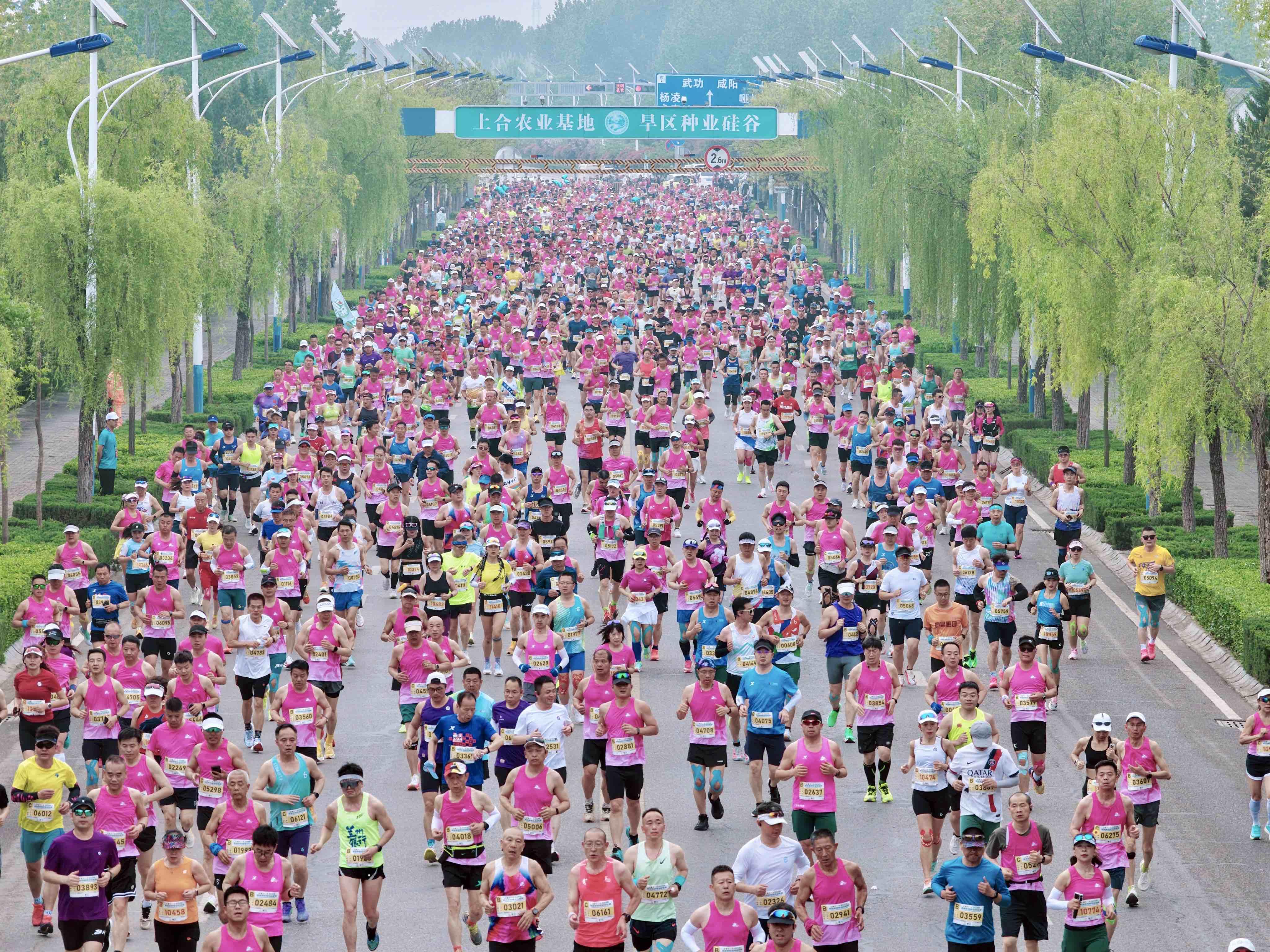 2026杨凌农科城马拉松赛鸣枪开赛，2万名跑友奔跑在农科城(图2)