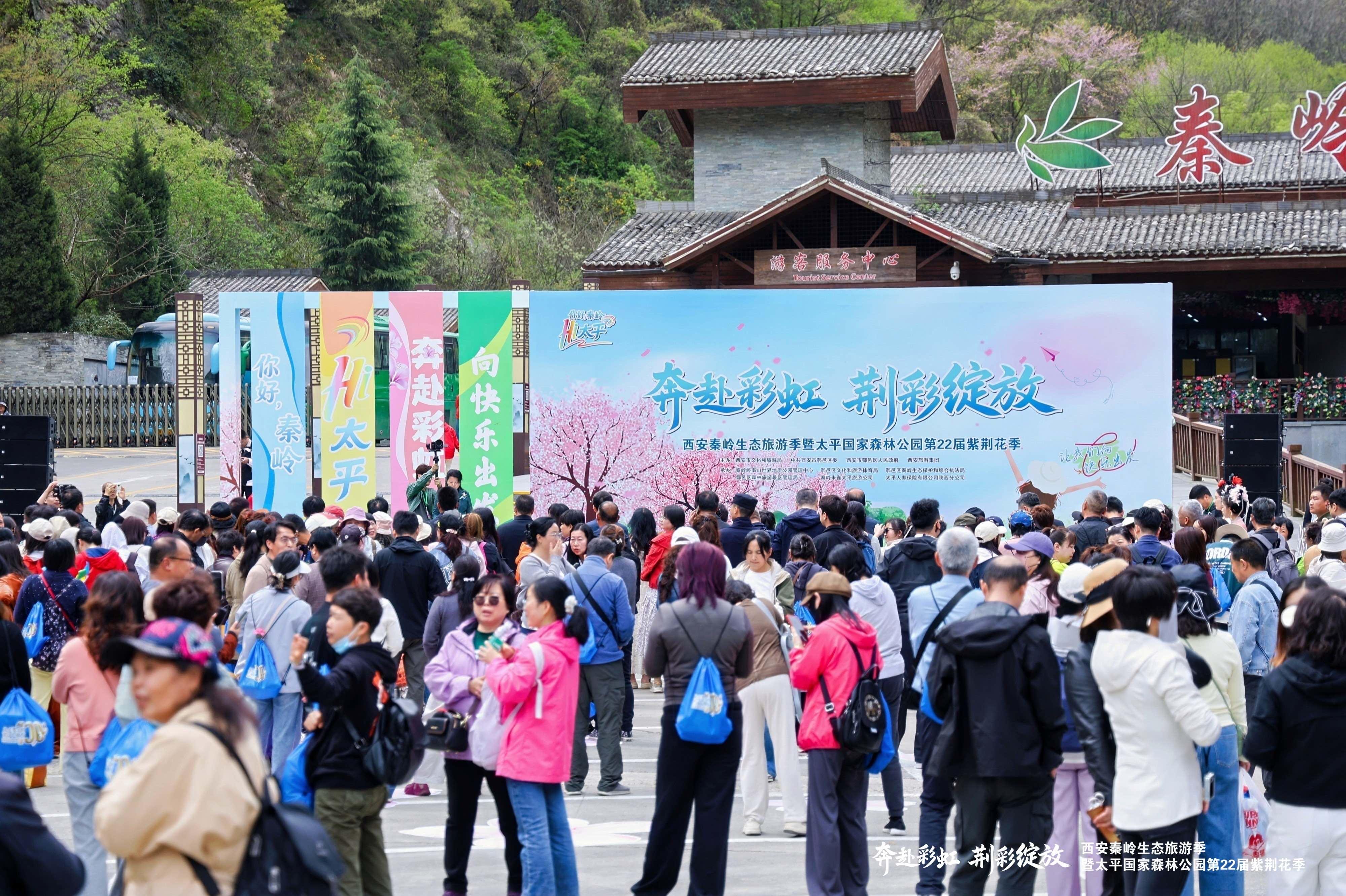 太平第二十二届紫荆花季盛大启幕(图1)