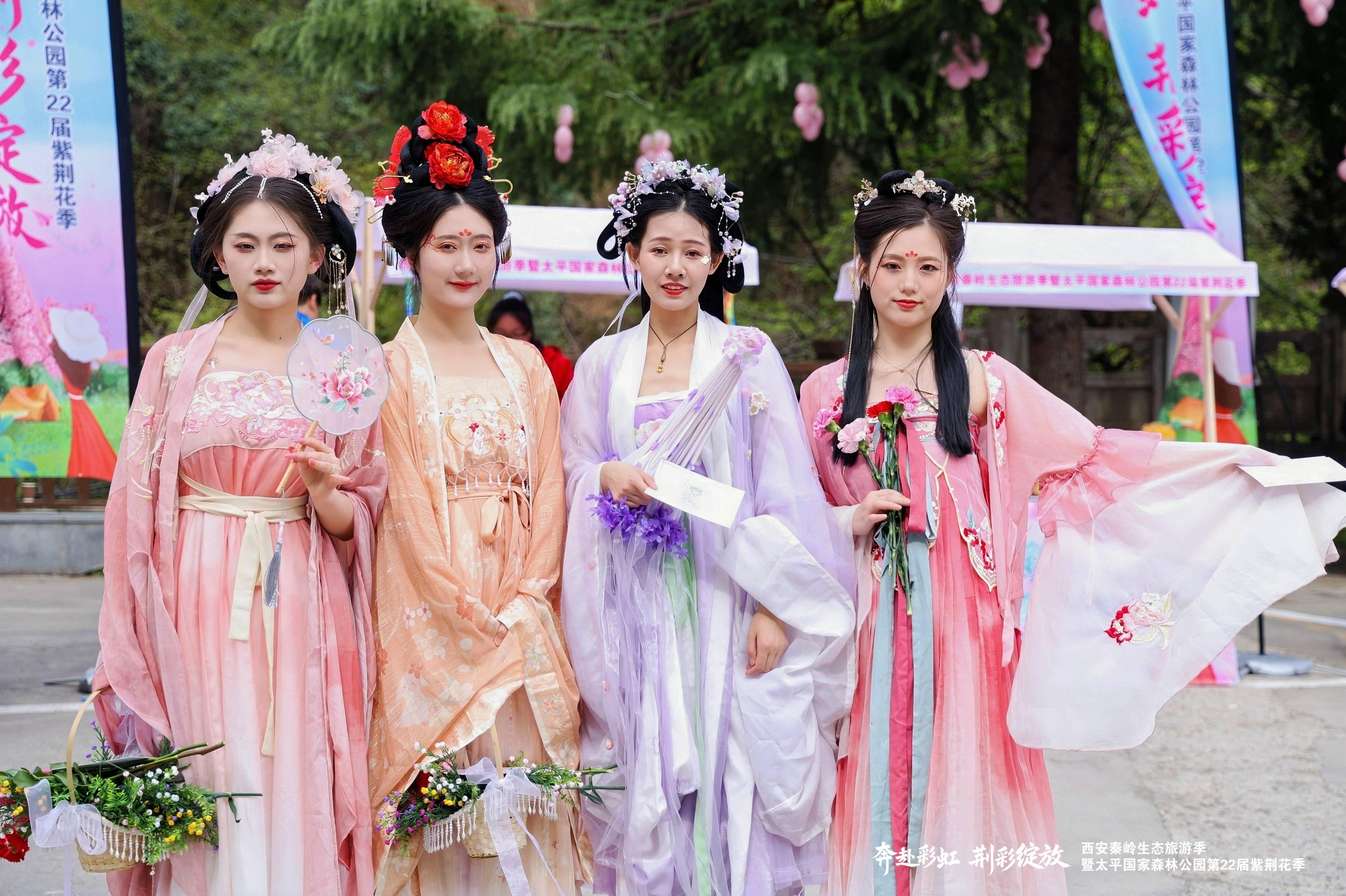 太平第二十二届紫荆花季盛大启幕(图3)