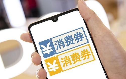 第二批电子政府消费券29日开始投放(图1)
